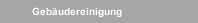 Gebäudereinigung