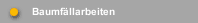 Baumfällarbeiten